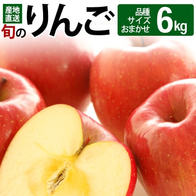 《先行受付》旬のりんご 6kg (品種、サイズおまかせ) 令和5年産|05_jsy-101601