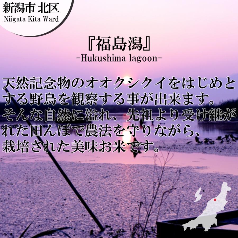 新米 令和５年産 新潟産 特別栽培米コシヒカリ 白米5kg （5kg×1袋）「香り」「ツヤ」「甘味」「粘り」高水準、プロ仕様、自慢のコシヒカリ