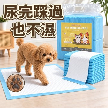 寵物尿布墊 基礎款 瞬吸鎖水 表層乾爽 狗貓通用 拋棄式 優惠推薦