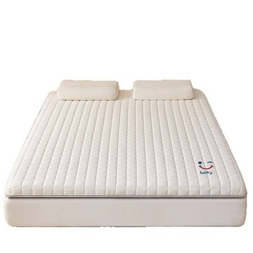 日式床墊 【Quality 聚家】150*200cm床墊 冬夏兩用冰藤涼席床墊 日式床墊 家用臥室雙人床墊軟墊（透氣排濕）