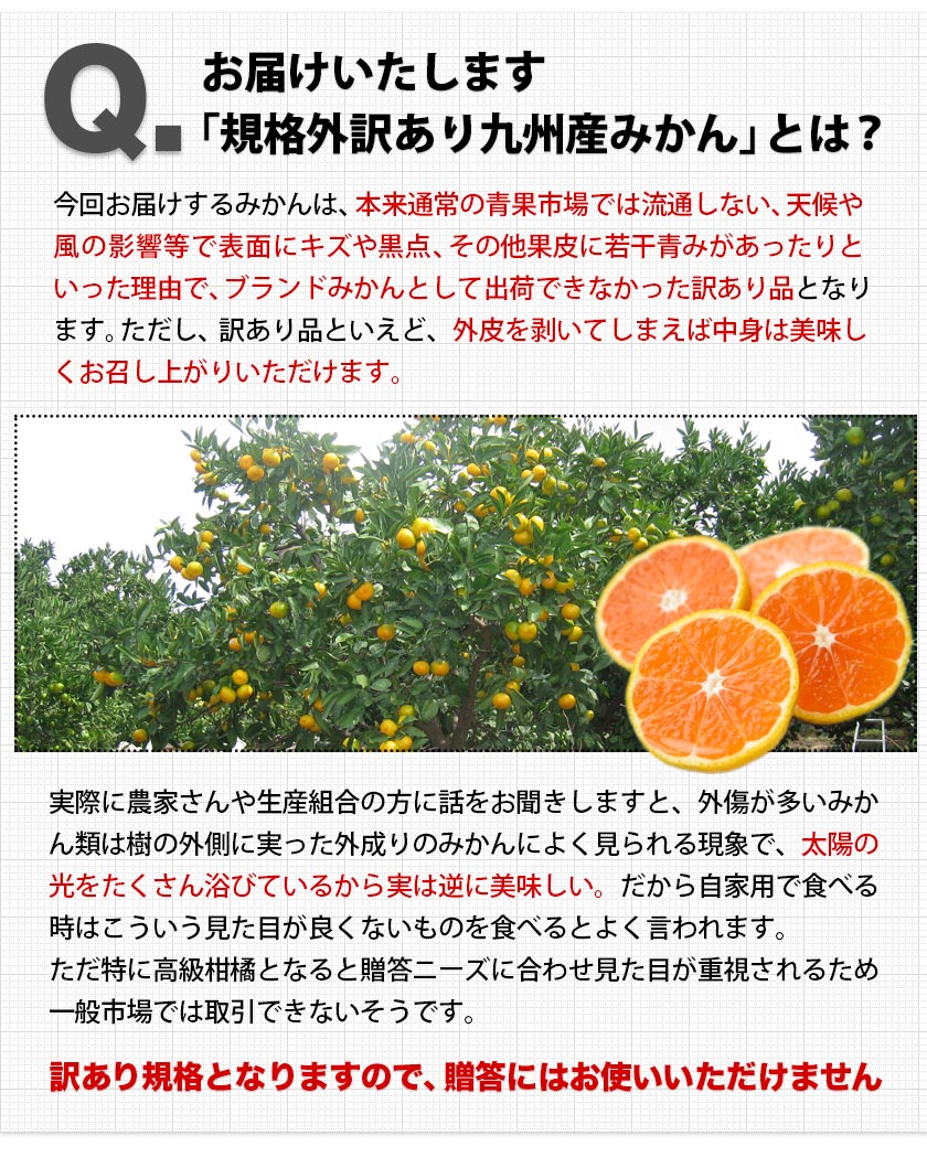 みかん 訳あり 送料無料 2セット購入で1セットおまけ 1セット1.5kg入 お取り寄せフルーツ 柑橘類 ミカン わけあり 九州産 7-14営業日以内に出荷予定