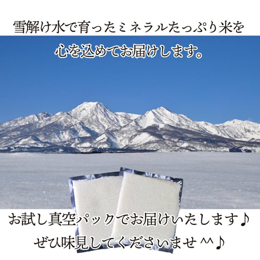 1000円ポッキリ 新米 令和5年 コシヒカリ 米 900g 新潟産 お米 こしひかり