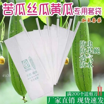 免運💒臺灣熱銷🐬苦瓜絲瓜黃瓜專用套袋防蟲袋瓜果蔬菜羊角蜜套袋防鳥防水防雨套袋