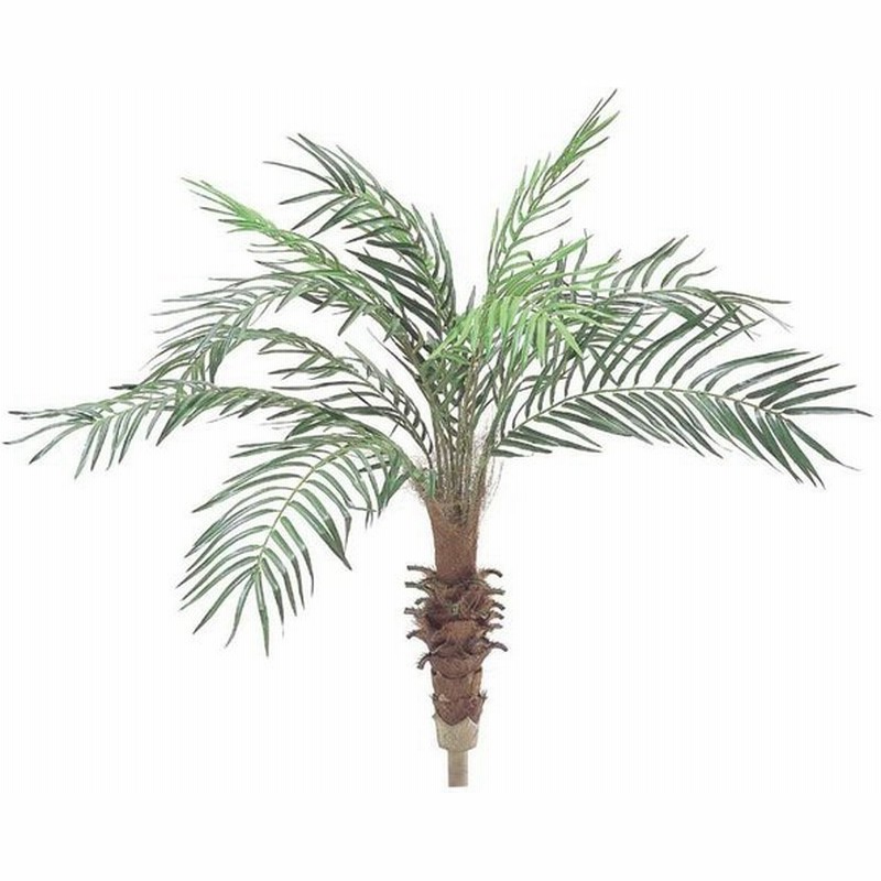 観葉植物 造花 フェニックスパームツリー S 115cm 人工観葉植物 大型 フェイクグリーン 光触媒 Ct触媒 インテリア Bt 0109 S G L 通販 Lineポイント最大get Lineショッピング