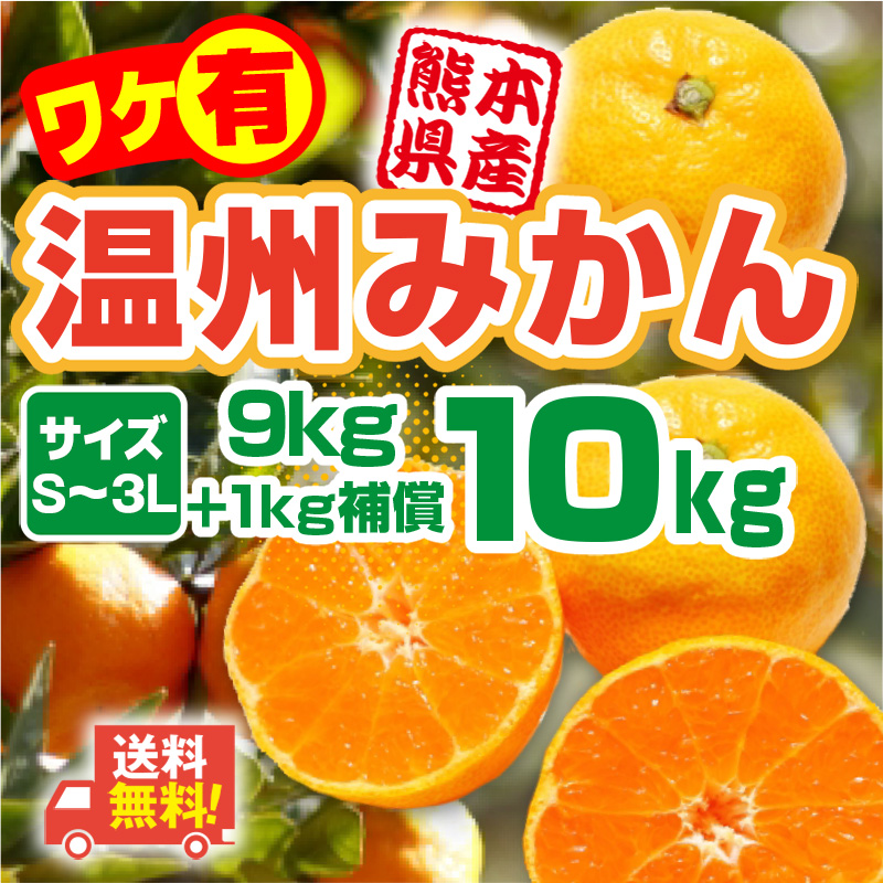 みかん 温州みかん 訳あり 熊本産 10kg 9kg＋1kg補償付き S-3L サイズ不選別 家庭用 完熟 常温便