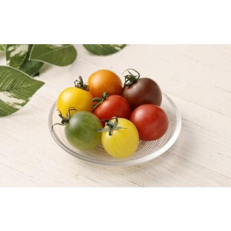 ふるさと納税 7色カラフルミニトマト 7粒×4箱 28粒 トマト ミニトマト 熊本県