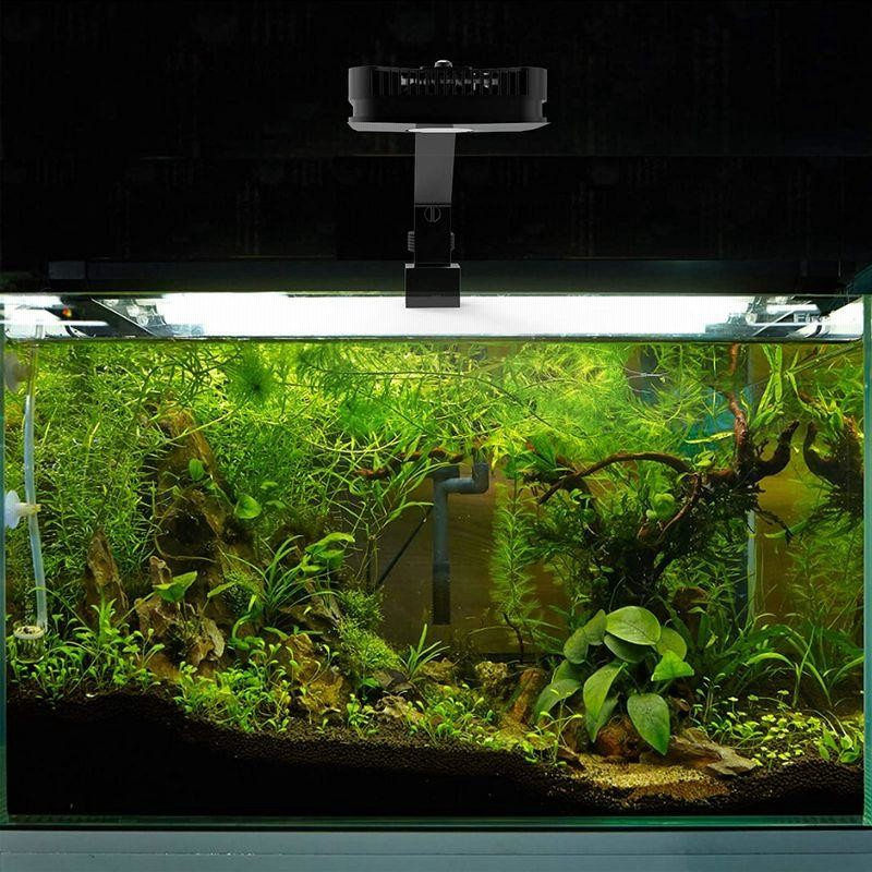 Lominie Pixie 30 水槽 Led 水草育成ライト 小型水槽照明 Led 熱帯魚 観賞魚用ライト 30w リモート4チャンネル調 通販 Lineポイント最大0 5 Get Lineショッピング