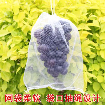 防鳥網 套葡萄防蟲防鳥網袋透氣水果防蟲防鳥尼龍網浸種網火龍果樹保護袋 限時88折
