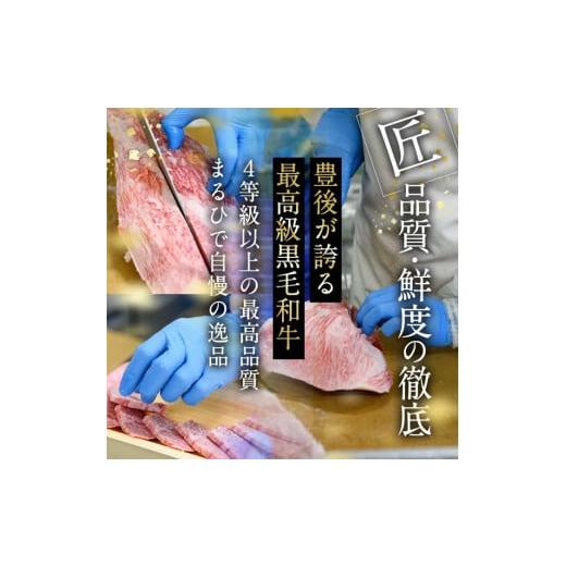 ふるさと納税 大分県 佐伯市 おおいた和牛 サーロインステーキ (計600g・200g×3枚)  