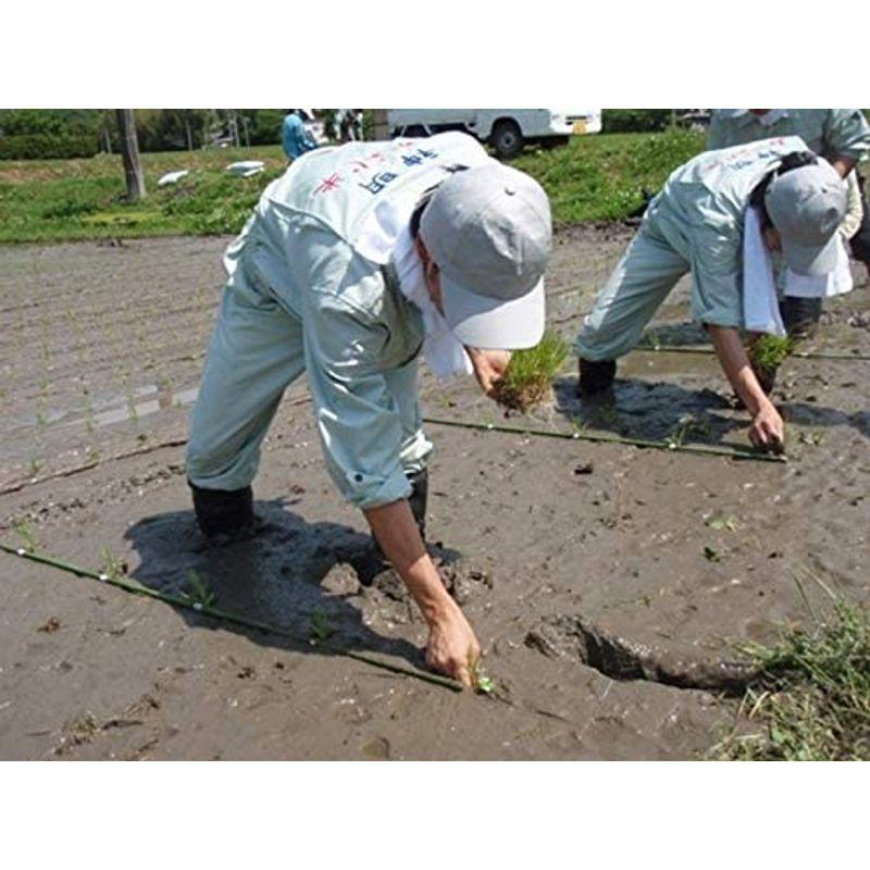 精米福岡県産 無洗米 福岡夢つくし 2kg