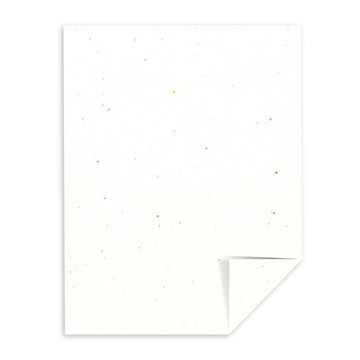 Astrobrights A4 Coloured Cardstock 色咭 (Stardust White)