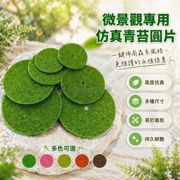 桃園出貨✨ 迷你圓形仿真苔蘚微景觀青苔假草皮綠植地毯戶外草坪DIY裝飾材料