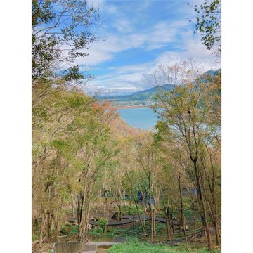 桃園旅遊｜新春賀歲.楓葉秘境.落羽松秘境.石門活魚.手工豆腐DIY.迎富送窮廟.福容二日_24TNADA111