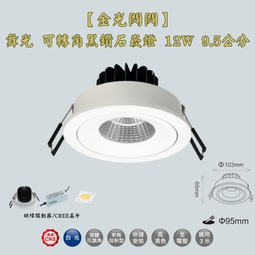 【金光閃閃】舞光 可轉角黑鑽石崁燈 12W 9.5公分 崁燈 LED大瓦數崁燈 高演色 防眩光學不刺眼 無頻閃