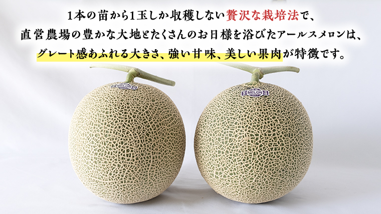  秋にお届け！  リピーター 多数 の 完熟 特大 アールスメロン １玉入箱 茨城 メロン 青肉 期間限定 数量限定 マスクメロン [AF087ci]