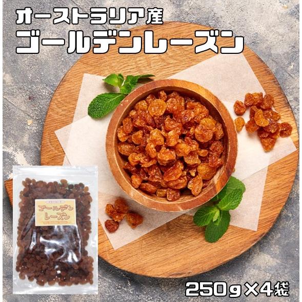 ゴールデンレーズン 1kg オーストラリア産 世界美食探究 ドライフルーツ シードレス サルタナ種 干しぶどう 製菓 製パン 乾燥ぶどう