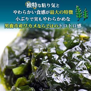 ふるさと納税 とろとろわかめ 250g×10個セット 秋田県男鹿市