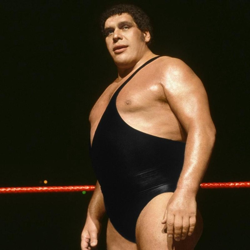 大巨人” アンドレ・ザ・ジャイアント Tシャツ「ANDRE THE GIANT