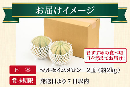 マルセイユメロン 2玉 約2.4kg（約1.2kg以上×2玉）大人気の赤肉品種！高級メロンの味わい ／ 果物 フルーツ ギフト 農家直送 ※2024年6月上旬以降順次発送