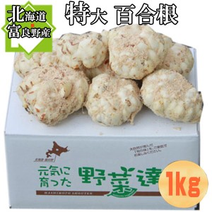 ゆり根　北海道富良野産　秀品 百合根 特大 1kg 5玉前後 送料無料 別途送料が発生する地域がございます