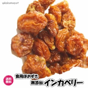 無添加インカベリー 500g（インカベリー500g）食用ほおずき ドライフルーツ ゴールデンベリー 無添加 砂糖不使用 送料無料 チャック袋