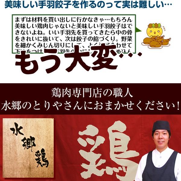 餃子 手羽餃子 10本入 お取り寄せグルメ 手羽先餃子 餃子 点心 手羽先 送料無料