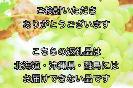 NN-31　岡山県産　果物と新米の定期便　全３回コースB