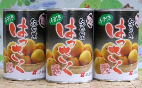 和歌山産手剥き八朔缶詰450g×8缶入り   果物 くだもの フルーツ みかん 缶詰