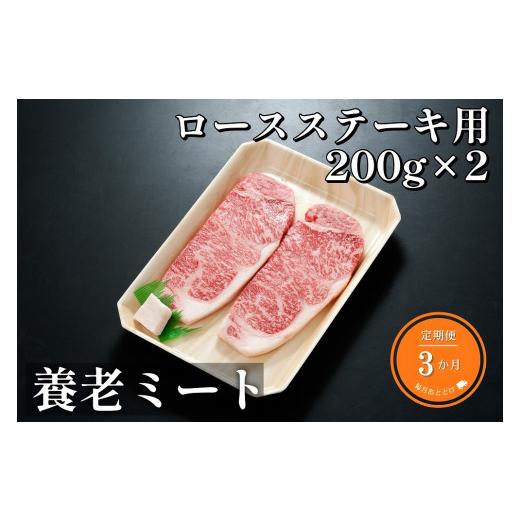 ふるさと納税 岐阜県 岐阜市 飛騨牛ロースステーキ用 200g×2枚