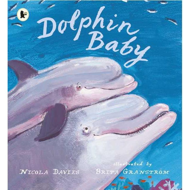 Dolphin Baby｜英語絵本 洋書 小学生 中学生 子ども 読み聞かせ 海外 