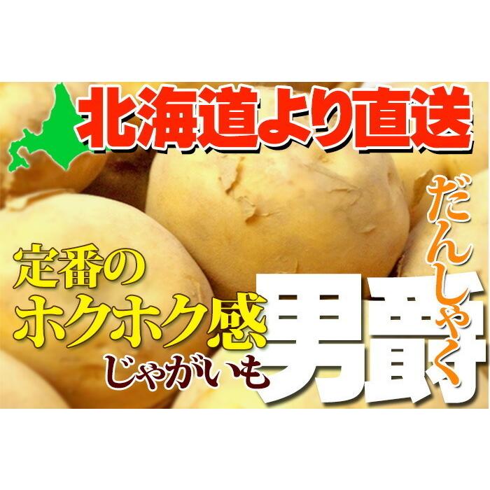 男爵 だんしゃくいも 5kg じゃがいも 北海道産 男爵いも あげいも フライドポテト 北海道 ジャガイモ お取り寄せ 産直 野菜 芋 秋の味覚