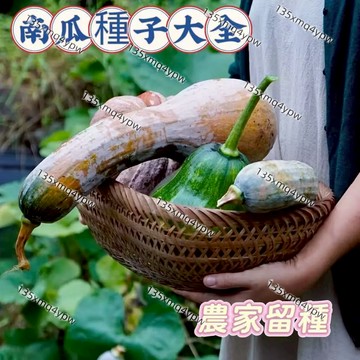 現貨💥 南瓜種子大全（50粒）奶油南瓜 果蔬種子貝貝南瓜 蜜本南瓜 巨型南瓜 蔬菜種子 香甜軟糯 四季播種 陽台庭院種植