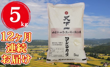 定期便 魚沼産 天下一コシヒカリ 5kg 全12回 米 お米 こめ コメ おこめ 白米 こしひかり 12か月 60kg お楽しみ