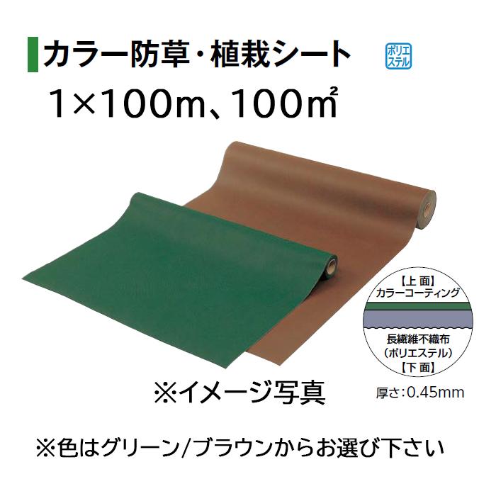 タカショー カラー防草・植栽シート 100m巻 サイズ：1×100m (TBB-100G