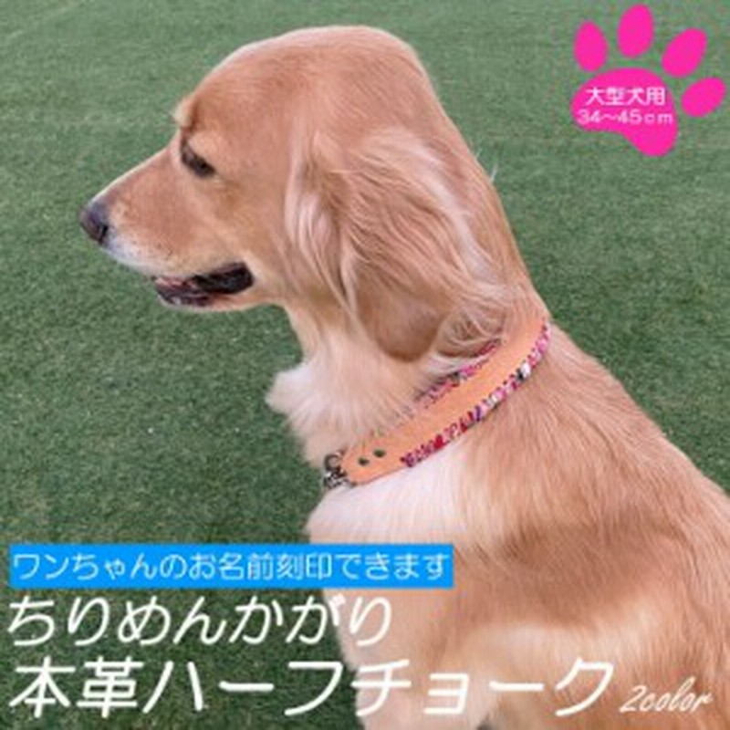 ちりめんかがり 大型犬 ハーフチョーク 犬 首輪 名入れ レザー 本革 名前刻印 ぺぐすのはふちょ 全2色 おしゃれ 革 かわいい しつけ トレ 通販 Lineポイント最大1 0 Get Lineショッピング