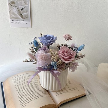 不凋玫瑰 粉霧籃紫 線型盆花