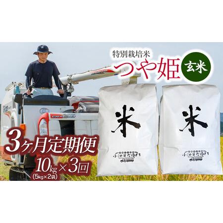 ふるさと納税 令和5年産 新米 山形県庄内産 小池半左衛門のお米 特別栽培米 つや姫 玄米10kg(5kg×2)×3回（計30kg） 山形県鶴岡市