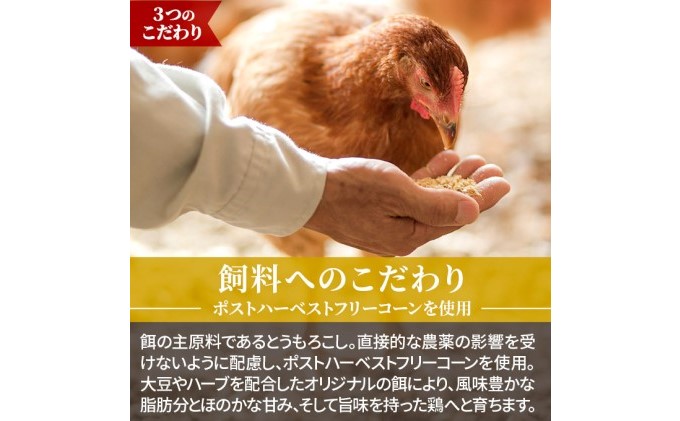 水炊きギフトセット 5～6人用 鶏飼う人 古処鶏 こしょどり 安心  天野商店 配送不可 離島