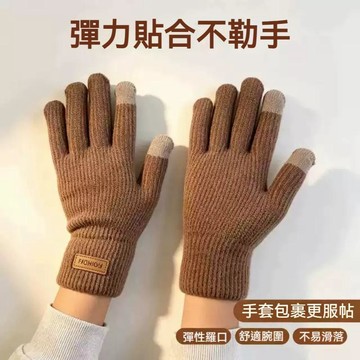 高雄出貨🔥美拉德觸屏手套 騎行手套 秋冬季 加絨加厚 防寒保暖手套 時尚百搭 針織騎行手套 男女同款 防寒手套
