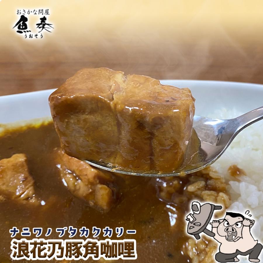 浪花乃豚角カリー ナニワノブタカクカリー 1パック 260g レトルト カレー メール便 豚角煮 ポークカレー 大盛