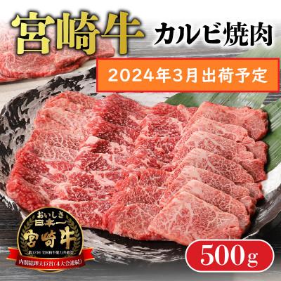 ふるさと納税 延岡市 宮崎牛 A4〜A5 カルビ 焼肉・バーベキュー用 500g