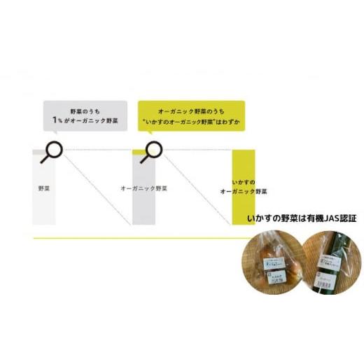 ふるさと納税 神奈川県 平塚市 いかすの有機野菜10袋