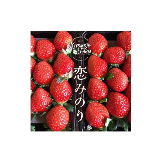 ふるさと納税 熊本県 玉名市  熊本たまな産 イチゴ 恋みのり 約1000g （250g×4パック）