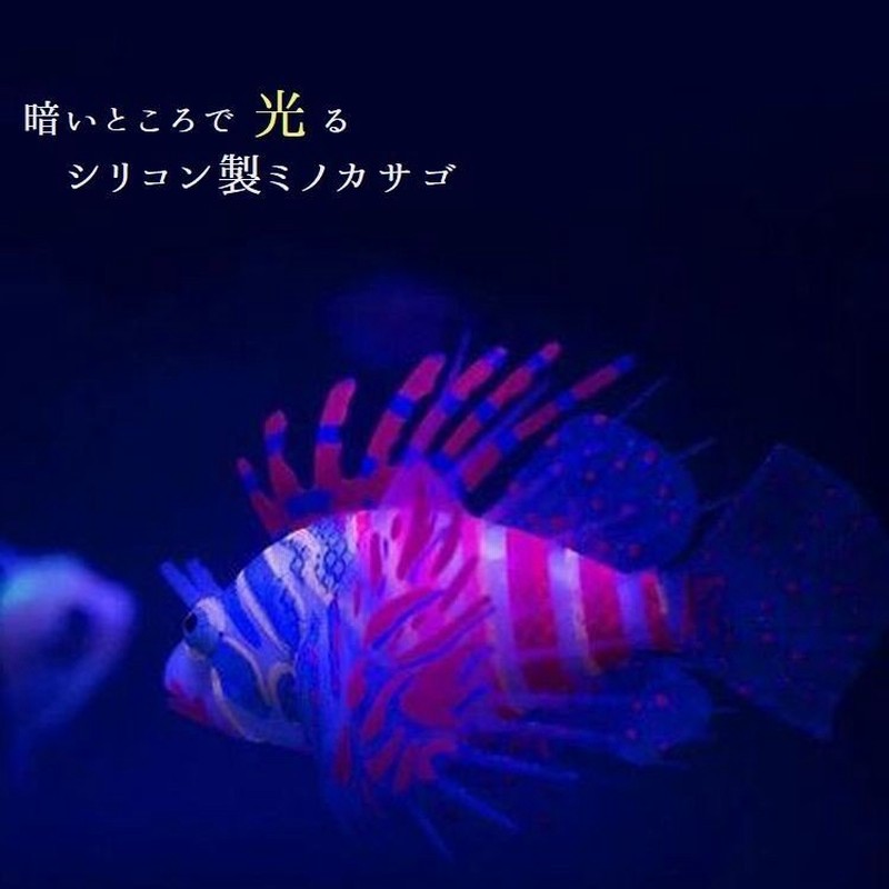 超安い品質 海水魚 ｌサイズ ハナミノカサゴ １匹 熱帯魚 アクアリウム