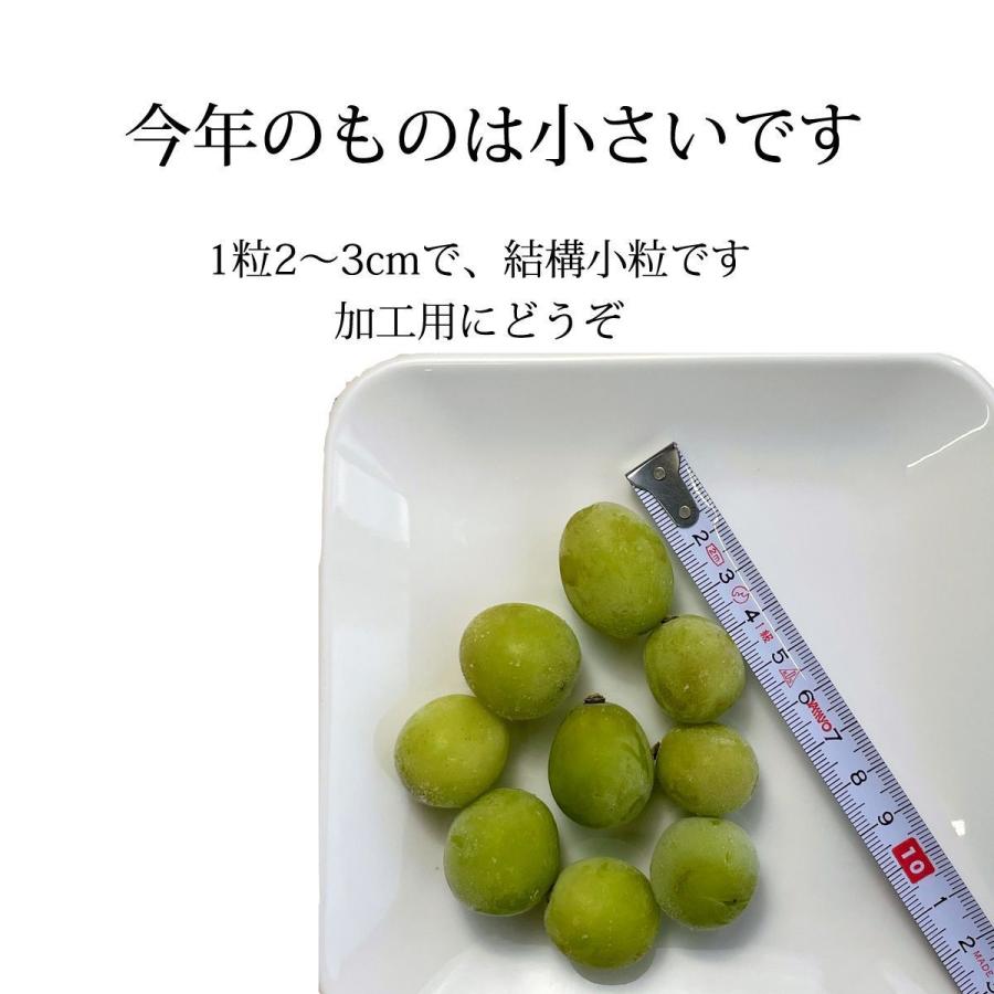 シャインマスカット 訳あり 国産 長野 冷凍 フルーツ たっぷり 大容量 700g