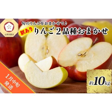 ふるさと納税   旬の美味しい りんご 約10kg 青森産  青森県五所川原市