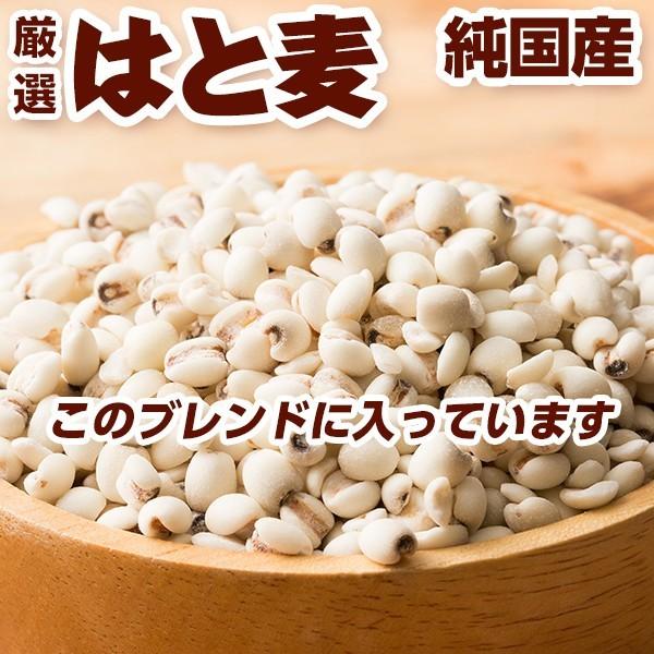 雑穀 雑穀米 国産 麦５種ブレンド 27kg(450g×60袋) [丸麦 押麦 はだか麦 もち麦 はと麦] 無添加 無着色 業務用サイズ 送料無料 雑穀米本舗