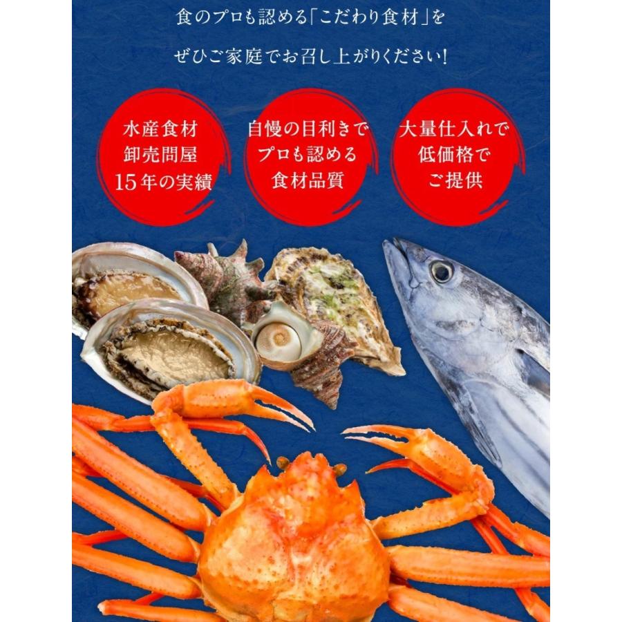 東西うなぎ食べ比べセット 特大サイズ 約160g〜170g×4尾 国産うなぎ 蒲焼 土用 丑の日 お試しセット 愛知産 静岡産 三河 浜名湖 ウナギ 鰻