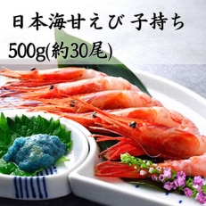 ねっとり甘い 子持ち 日本海甘えび 500g(約30尾)