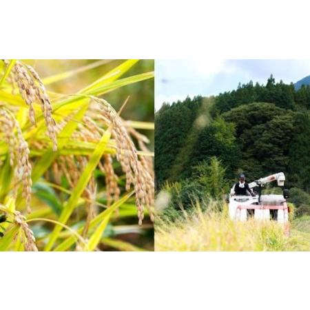 ふるさと納税 さとうファームの有機栽培米(玄米) 5kg × 6回 玄米 有機栽培米 大分県九重町